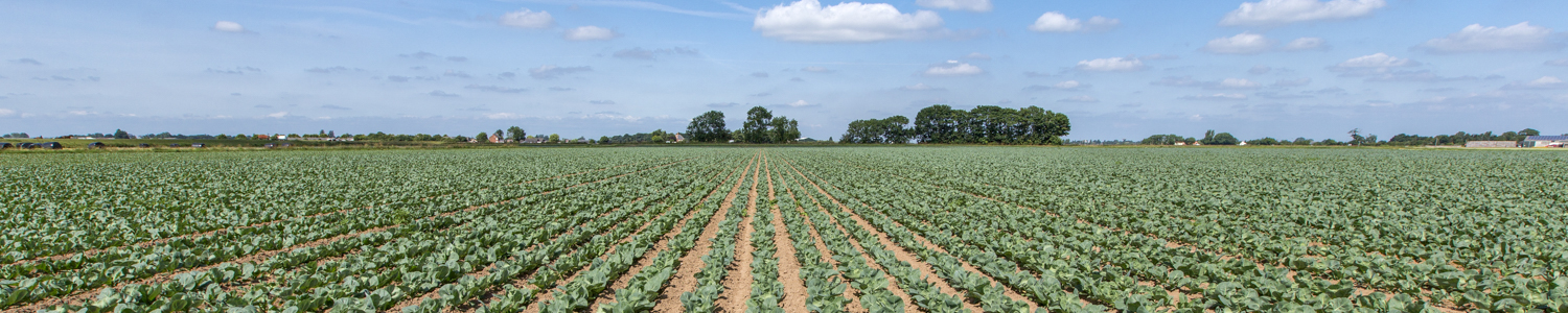 Agricultural